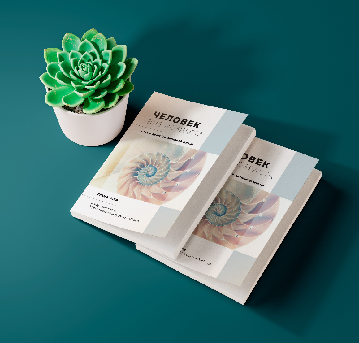 https://www.elenachava.com/wp-content/uploads/2023/11/book-02.jpg