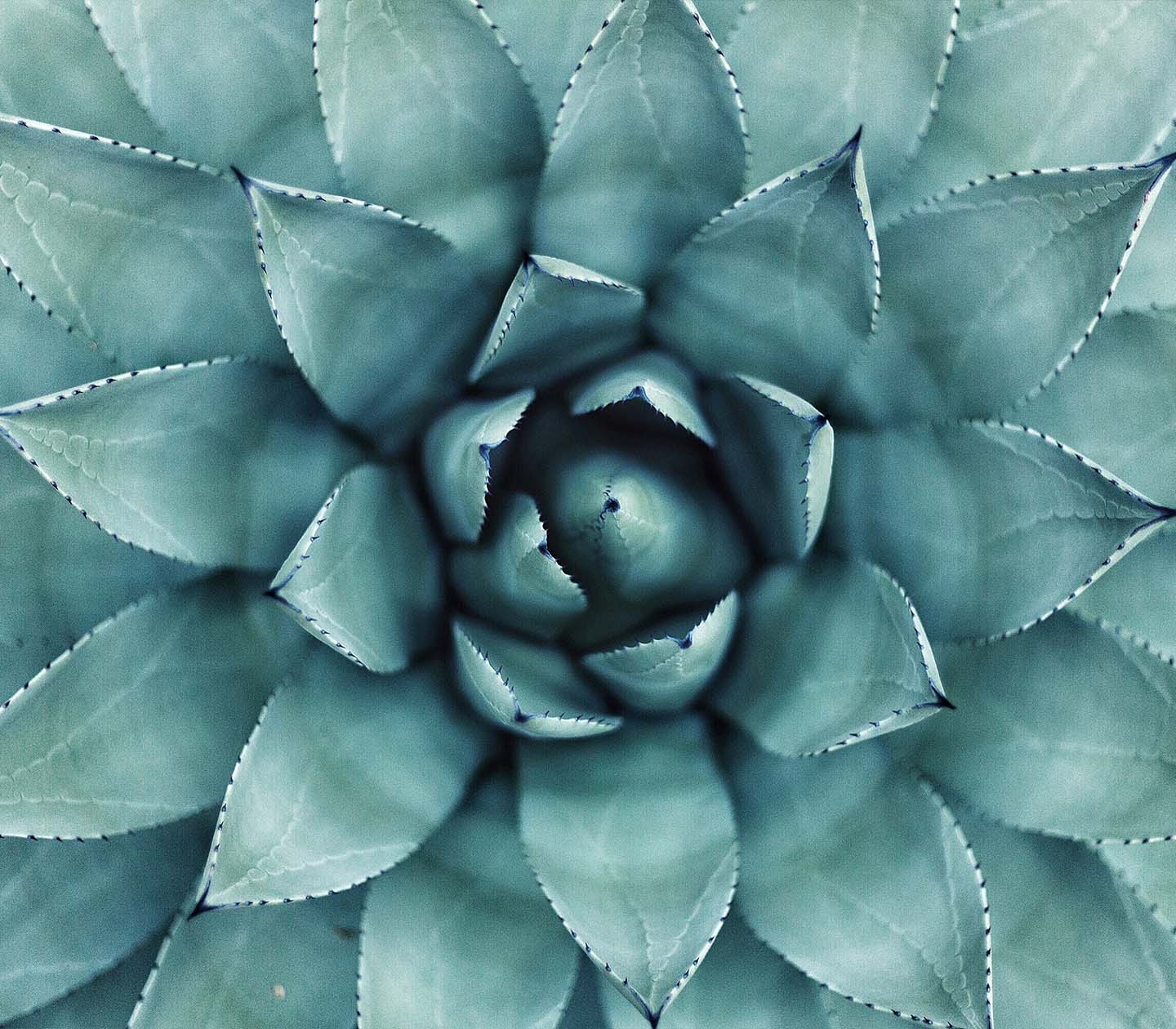 https://www.elenachava.com/wp-content/uploads/2023/12/inner_image_04_01-1.jpg