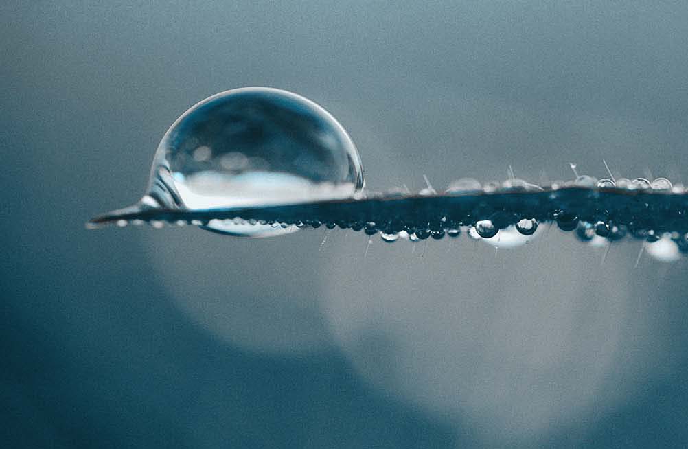 https://www.elenachava.com/wp-content/uploads/2024/01/background_footer_126.jpg